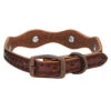 Weaver Leather - Sundance Collar, 3 4 Inch X 17 Inch