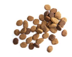 Iams Proactive Health Mature Adult Large Breed Chicken Dog Food Bag 30 LB 5 Iams Proactive Health Mature Adult Large Breed Chicken Dog Food Bag 30 LB -Pawny Shop 2177790 3 79482.1633120239