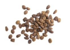 Iams Proactive Health Adult Minichunks Chicken 30 LB -Pawny Shop 2177795 3 86800.1633120207