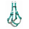 Weaver Leather Neoprene Lined Large Harness- Mint