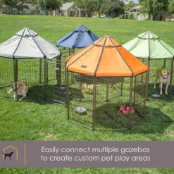 Advantek 5' Pet Gazebo -Pawny Shop 2516155 5 17035.1632858161
