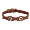 Weaver Leather - Lone Star Legend Collar, Sunset, 1 Inch X 19 Inch