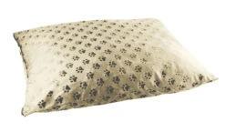 Pawny Shop -Pawny Shop P2103330 1 35491.1659105776